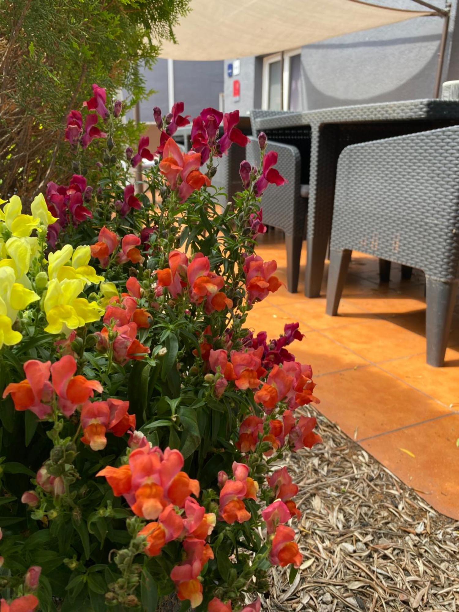 Contact Hotel Le Sud Montpellier Aeroport Parc Expo Arena มอกิโอ ภายนอก รูปภาพ